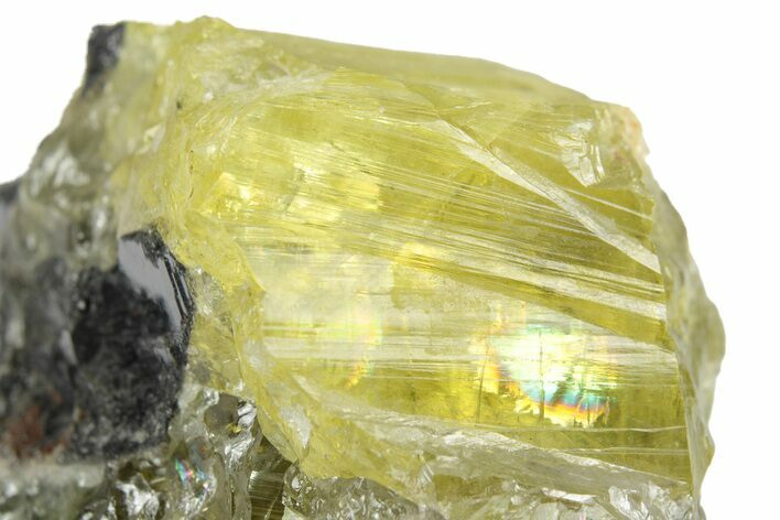 Glassy Yellow Anglesite Crystal on Galena - Morocco #251489